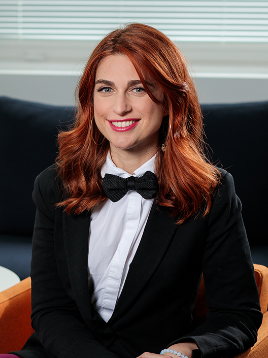 Partner image